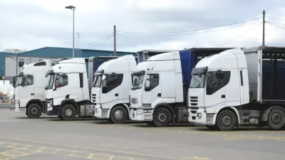 Transportadoras